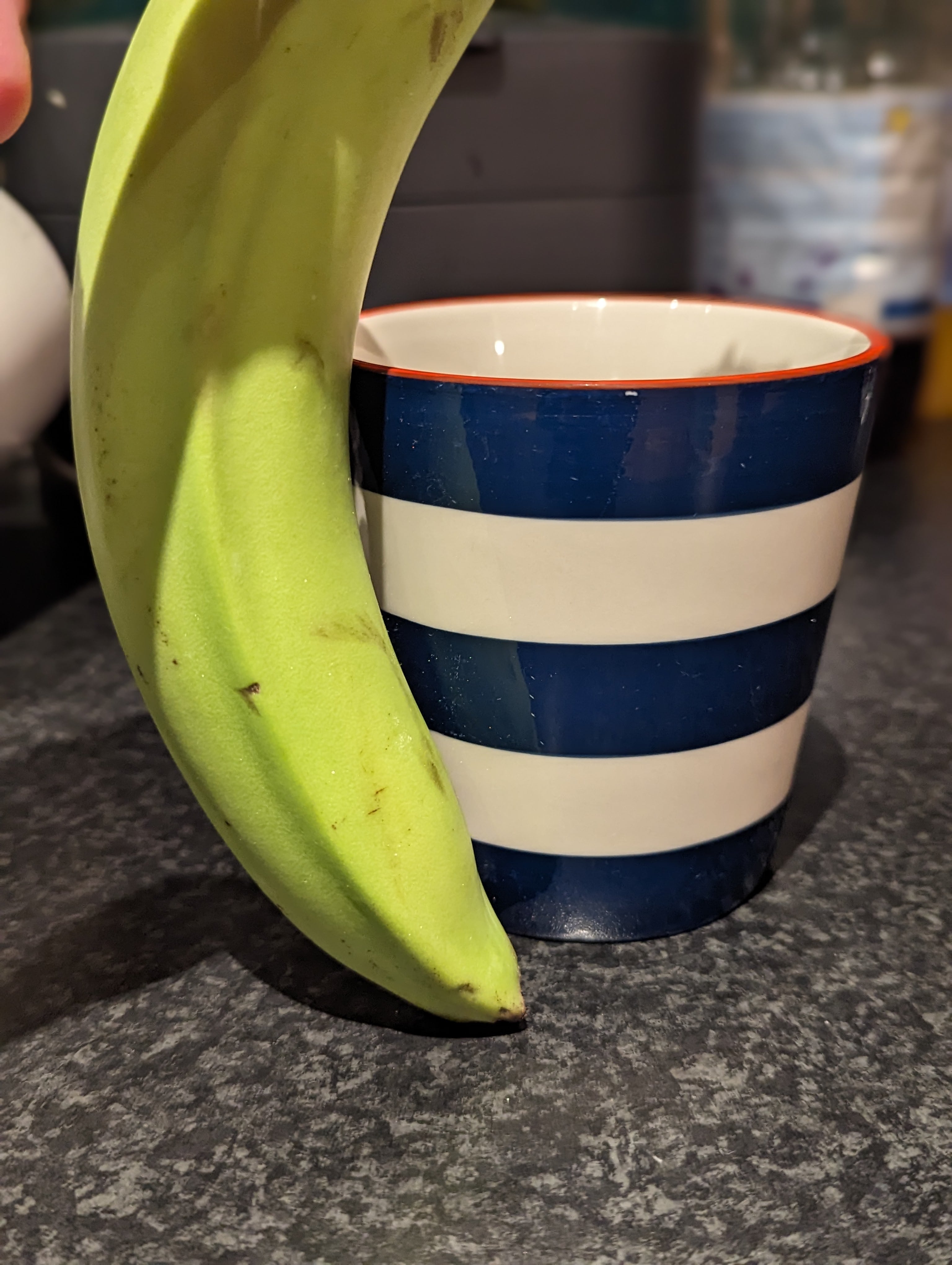 a picture of a Stripey Cup measured in banana's  for the website Bana For Scale. Image sent in byRyan H